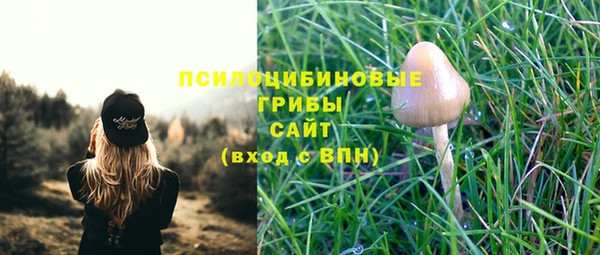 тгк Наволоки