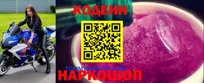 индика Дубна