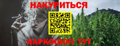 индика Дубна