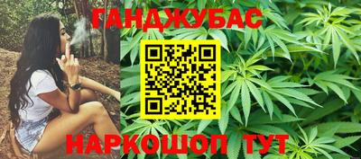 индика Дубна