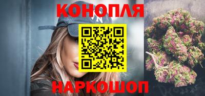 индика Дубна