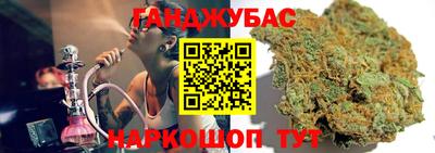 индика Дубна