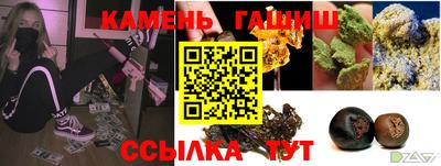 индика Дубна